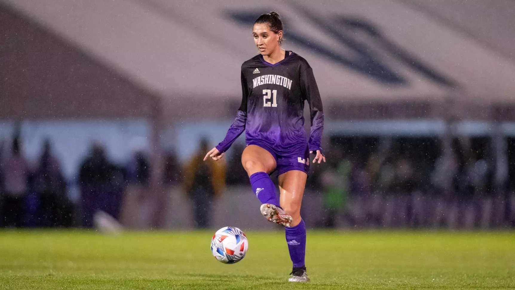 多个领域内 多个领域内