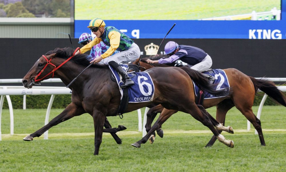 不确定性 不确定性